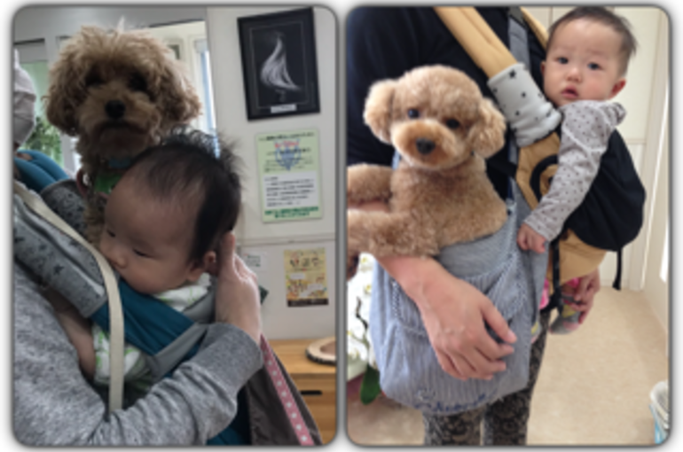 ペットと一緒に子育て中です